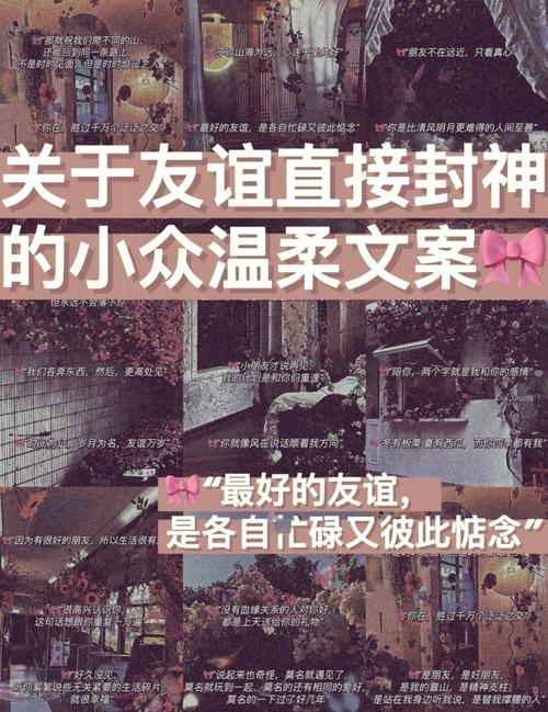 干净又纯粹的友谊文案 第1张 干净又纯粹的友谊文案 第1张