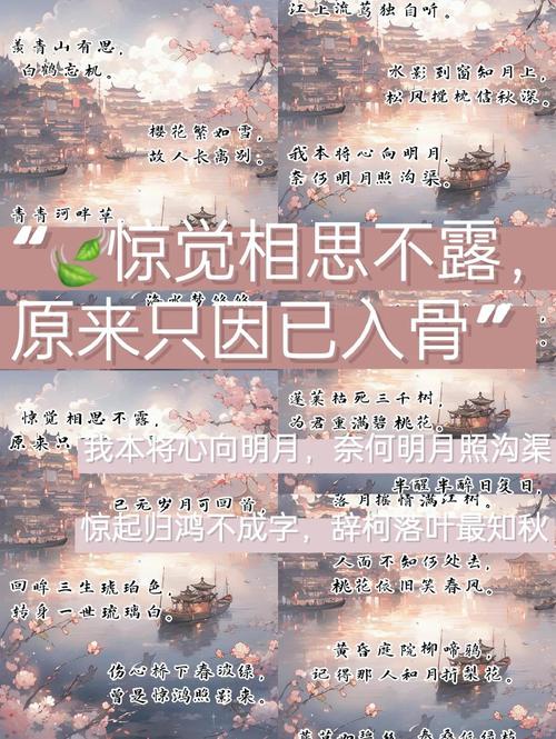 霸气唯美小说古风句子,短亭短,红尘辗,我把萧再叹 第1张 霸气唯美小说古风句子,短亭短,红尘辗,我把萧再叹 第1张