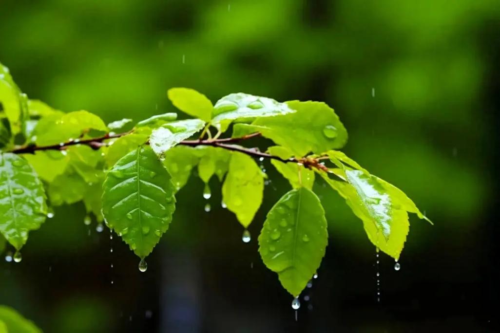 我不喜欢下雨，但我喜欢听雨声，就像我是一个爱笑的人，  第1张