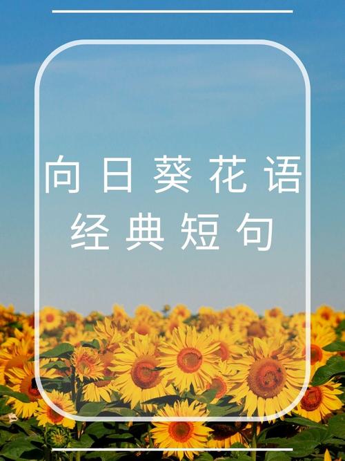 乐观是乌云背后微笑的太阳?励志文章  第1张