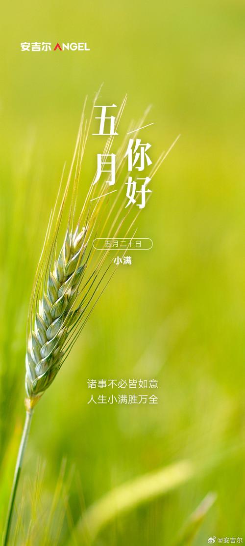 高级小众的五月文案 第1张 高级小众的五月文案 第1张