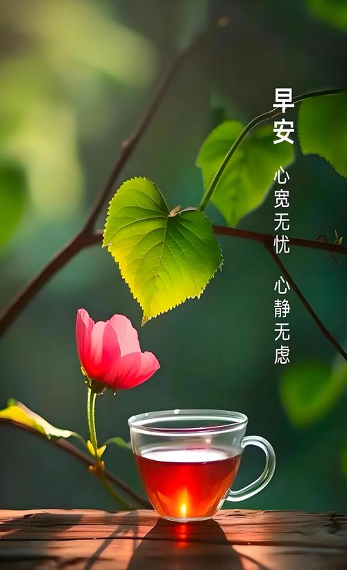 人胖人瘦,健康就好;钱多钱少,温饱就好,早安 第1张 人胖人瘦,健康就好;钱多钱少,温饱就好,早安 第1张