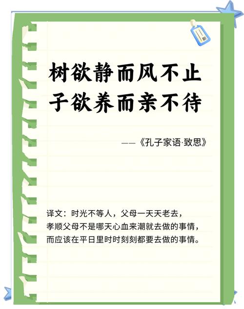 念亲恩:树高千尺莫忘根,儿女莫忘父母恩 第1张 念亲恩:树高千尺莫忘根,儿女莫忘父母恩 第1张