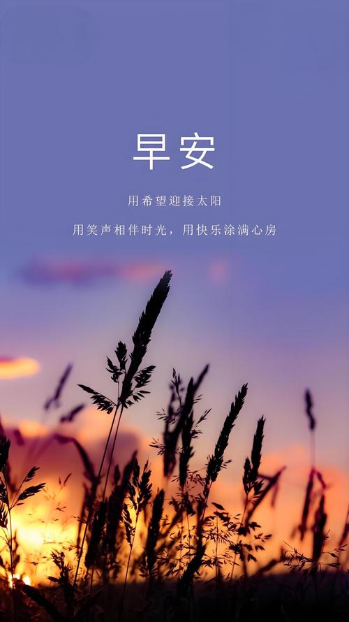 人生不必活得太认真，感情不必看得太透明，早安  第1张