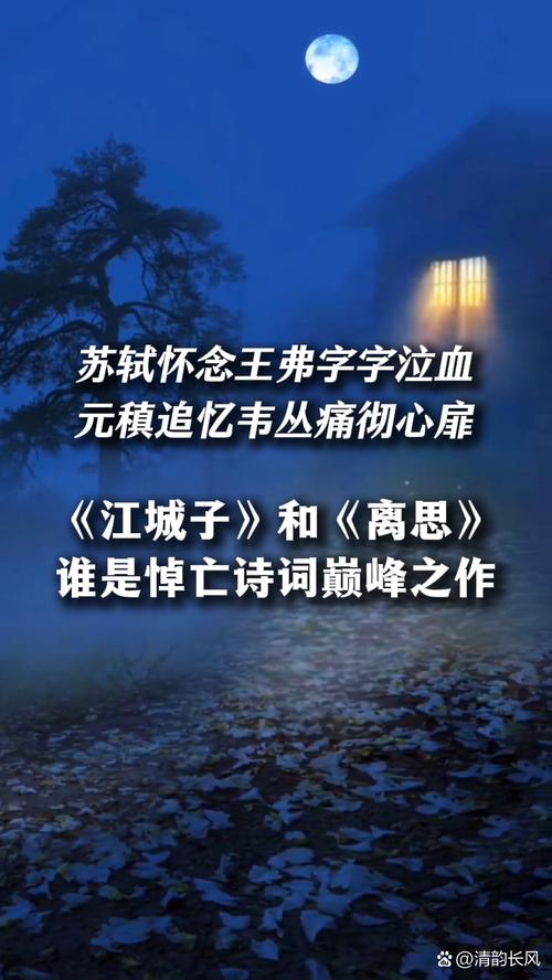 十年生死不相忘，重逢只能在梦中！苏轼一首流传千古的悼亡词  第1张