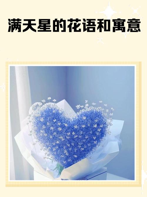 温柔又治愈的满天星文案,值得收藏 第1张 温柔又治愈的满天星文案,值得收藏 第1张