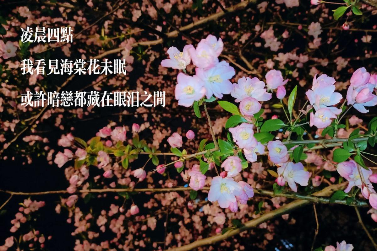 川端康成最唯美的15句,凌晨四点钟,看到海棠花未眠 第1张 川端康成最唯美的15句,凌晨四点钟,看到海棠花未眠 第1张