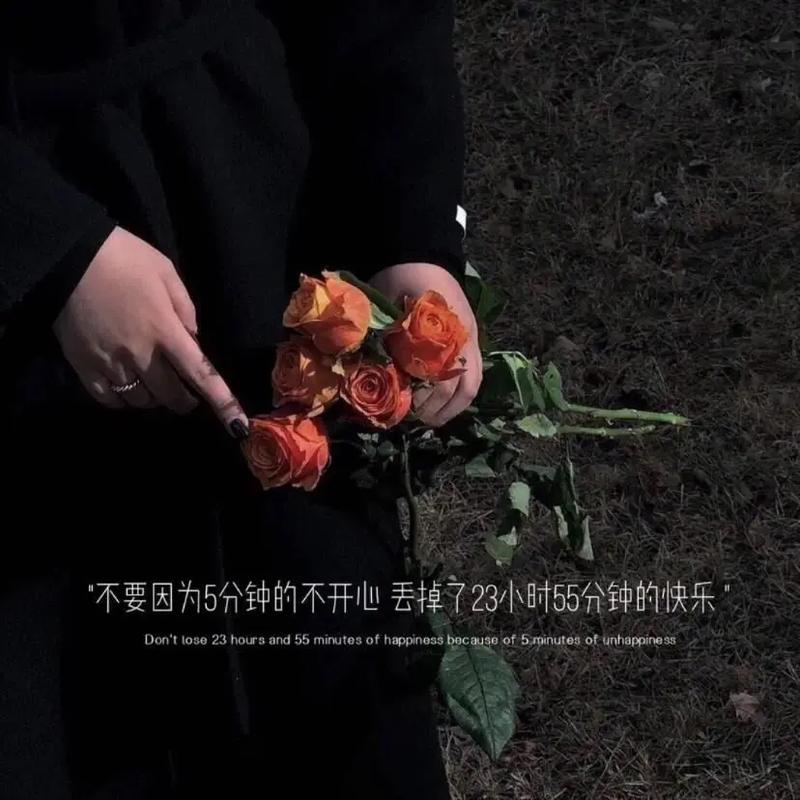一段醍醐灌顶的话:“社会不像学校,会有人来督促你成长 第1张 一段醍醐灌顶的话:“社会不像学校,会有人来督促你成长 第1张