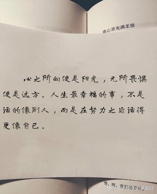 内心充满阳光的励志短句，善良温和，坦荡生活  第1张