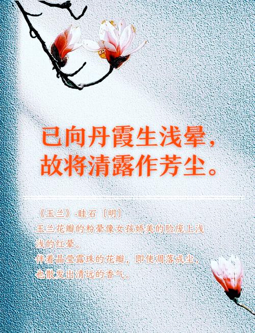 娉娉袅袅，晕娇黄、玉色轻明。26句形容女人气质优雅漂亮的诗词  第1张