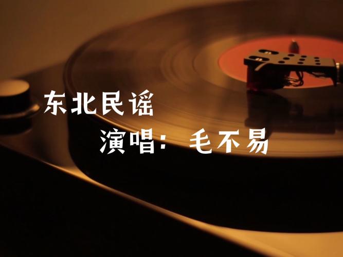 《东北民谣》:毛不易笔下的情感画卷 第1张 《东北民谣》:毛不易笔下的情感画卷 第1张