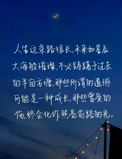 未来可期：20句寄语，让梦想之花在时光深处绽放  第1张