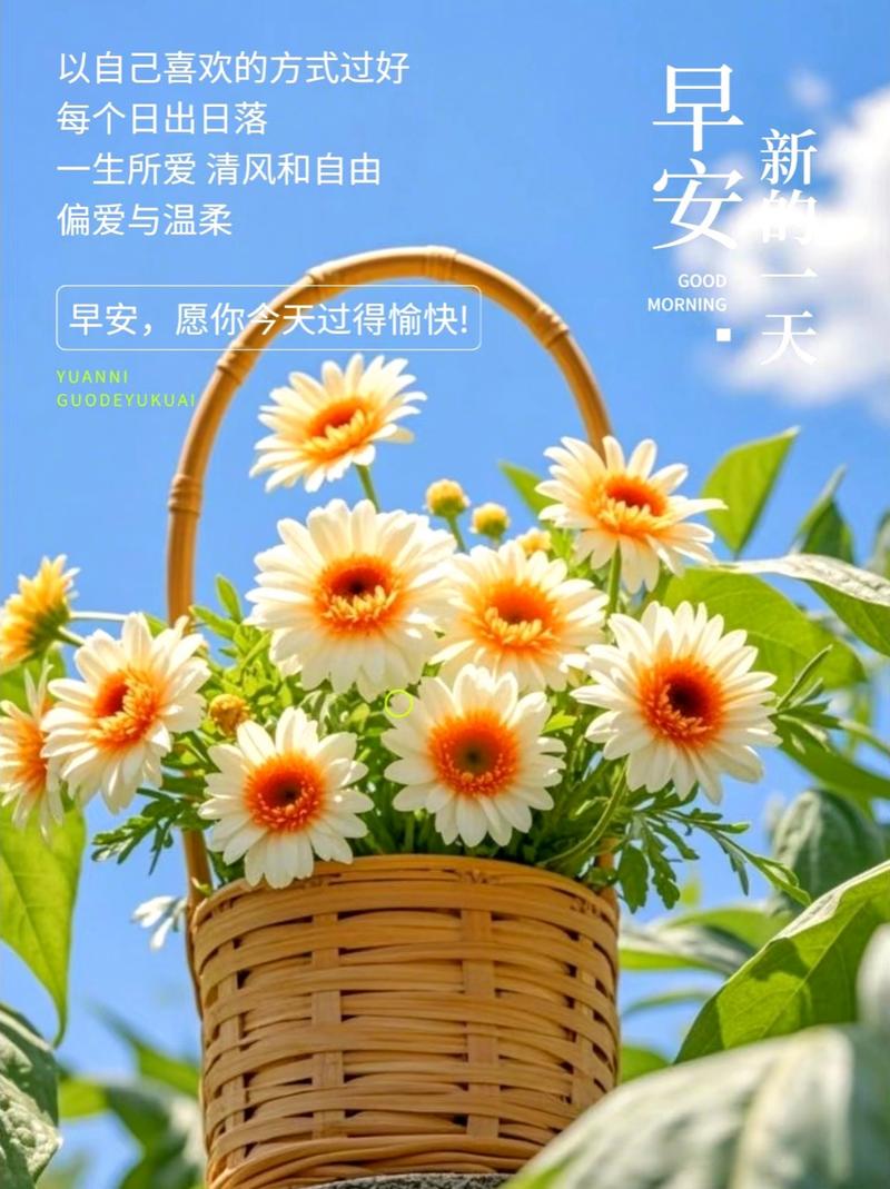 你若阳光,便会灿烂;你若善良,人间温润,早安 第1张 你若阳光,便会灿烂;你若善良,人间温润,早安 第1张