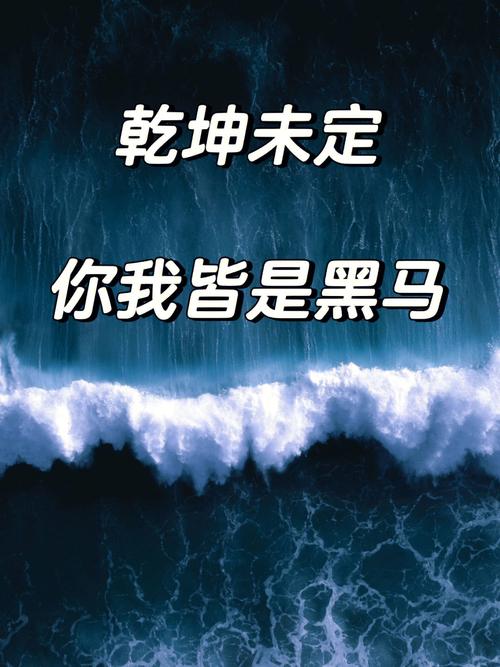 乾坤未定，你我皆是黑马  第1张