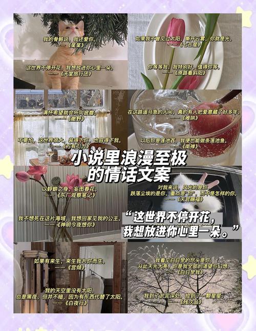 那些小说里的惊艳文案  第1张