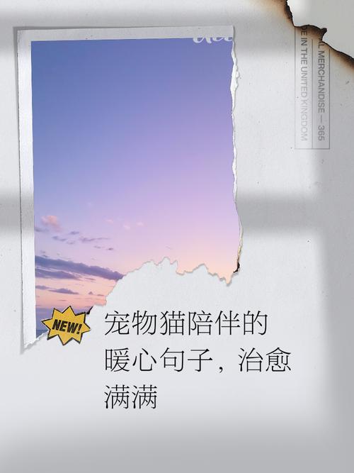 看完这些十分治愈的猫咪和狗狗文案，我想养了  第1张