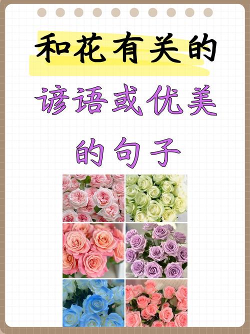 写“花”的优美句子，值得拥有，可以早读背诵  第1张