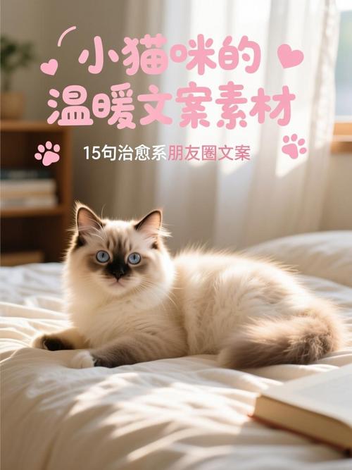 宠物文案——到底是谁被猫猫狗狗治愈了我不说 第1张 宠物文案——到底是谁被猫猫狗狗治愈了我不说 第1张
