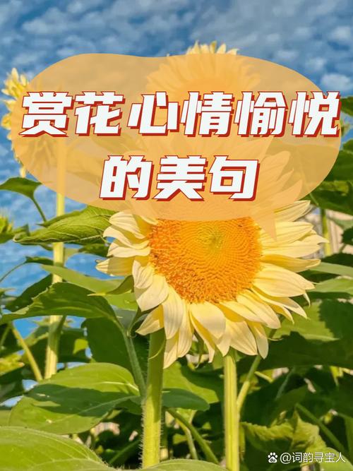 晒赏花照,别再说“我拍的花”了,记住40句赏花文案,温馨不俗套 第1张 晒赏花照,别再说“我拍的花”了,记住40句赏花文案,温馨不俗套 第1张
