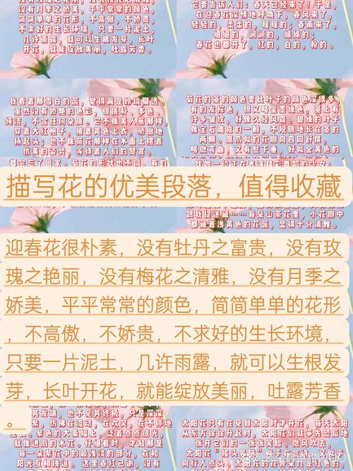 30句生活与花的唯美句子,愿我们生活像花儿一样盛开 第1张 30句生活与花的唯美句子,愿我们生活像花儿一样盛开 第1张