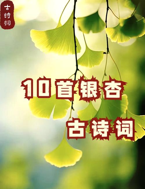 「新诗采撷」唐硕|银杏组诗(外六首) 第1张 「新诗采撷」唐硕|银杏组诗(外六首) 第1张