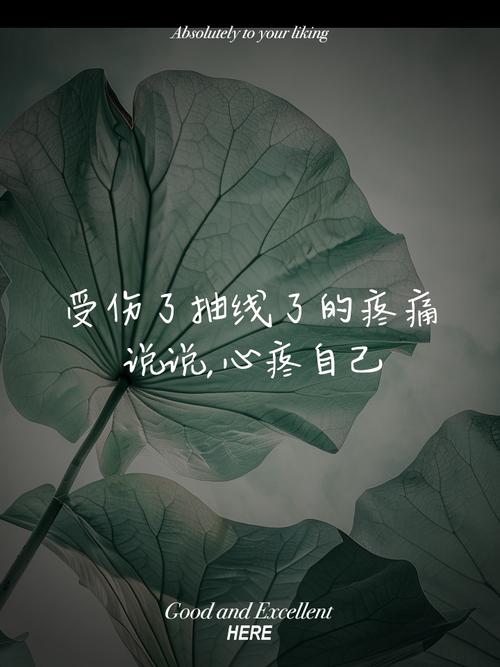 一个人默默承受伤痛的句子，送给深夜无眠的自己  第1张