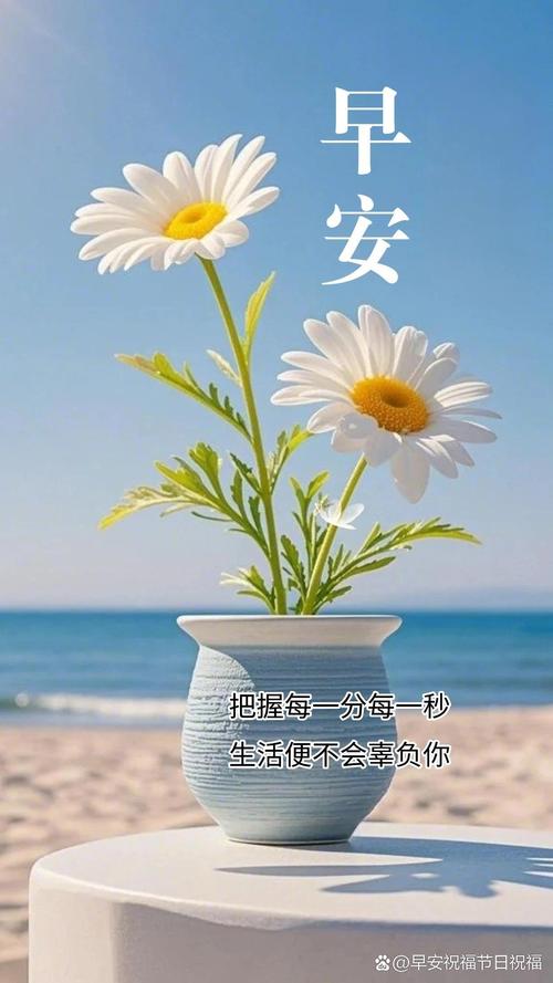 早安心语：一切都是最好的安排，活在当下，别活在过去  第1张