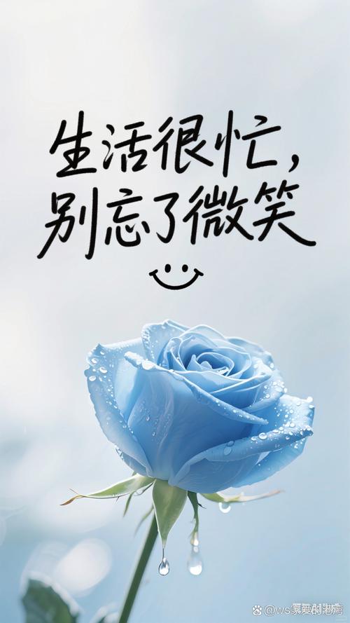 好好生活，好好工作：让心灵归零，微笑前行  第1张