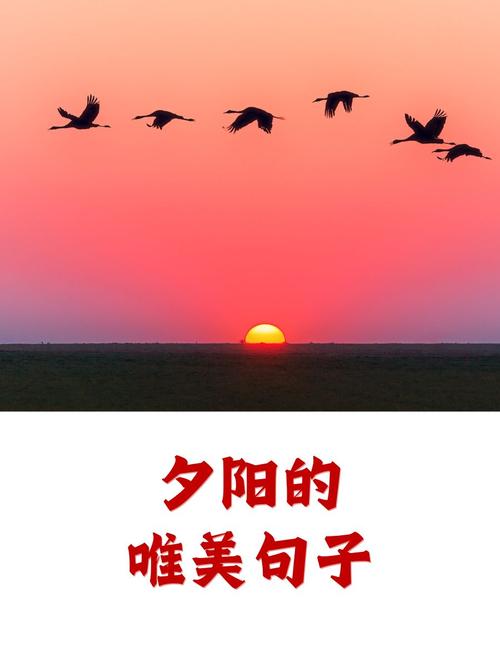 17句落日与天空的绝美赞美,让心随夕阳共舞 第1张 17句落日与天空的绝美赞美,让心随夕阳共舞 第1张