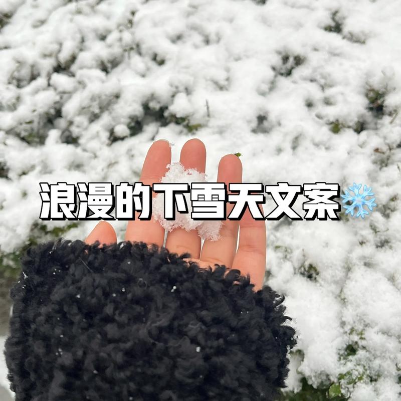 下雪的文案,下雪了唯美句子,短句干净诗意浪漫,发朋友圈 第1张 下雪的文案,下雪了唯美句子,短句干净诗意浪漫,发朋友圈 第1张