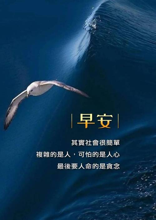 「2023.01.06」早安心语,正能量推进梦想励志语句 霸 第1张 「2023.01.06」早安心语,正能量推进梦想励志语句 霸 第1张