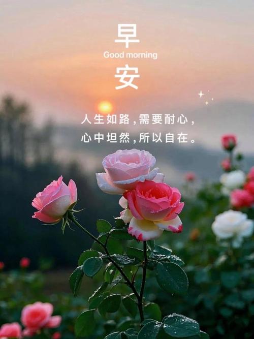 早安心语:苦过,甜过,爱过,恨过,哭过,笑过,才是人生! 第1张 早安心语:苦过,甜过,爱过,恨过,哭过,笑过,才是人生! 第1张