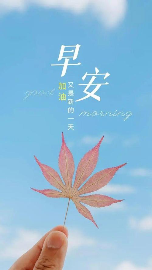 唯美的早安句子:愿你阳光下像个孩子,风雨里像个大人,早安! 第1张 唯美的早安句子:愿你阳光下像个孩子,风雨里像个大人,早安! 第1张