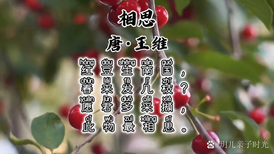 《古诗十九首》，相思占一半  第1张