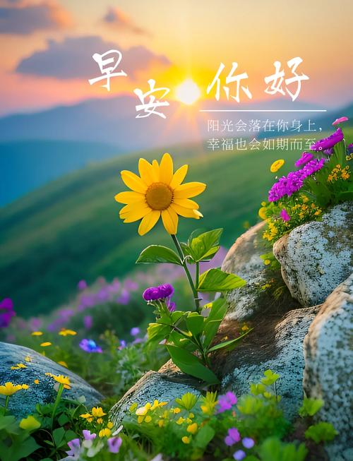 早安心语优美的短句子,每一句话都温暖人心 第1张 早安心语优美的短句子,每一句话都温暖人心 第1张