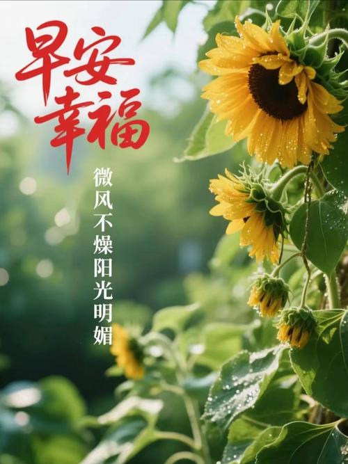 从晨曦到未来，拥抱阳光与希望，愿阳光相伴，愿你伟大  第1张