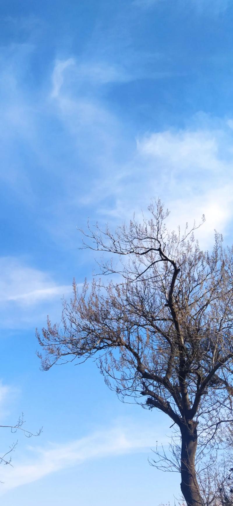 冬日晴空,自在悠然 第1张 冬日晴空,自在悠然 第1张