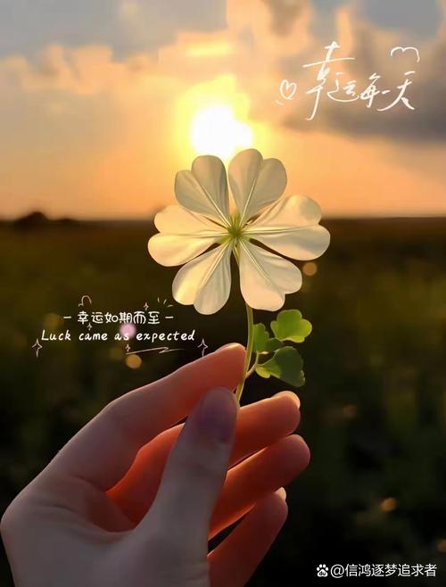 人生最美的风景,是内心的淡定与从容 第1张 人生最美的风景,是内心的淡定与从容 第1张