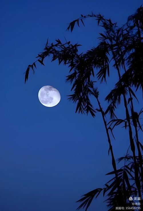 秋之唯美,不急不缓,明月清风——像极力了人生该有的样子 第1张 秋之唯美,不急不缓,明月清风——像极力了人生该有的样子 第1张