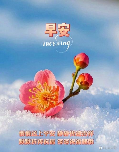 有一种人，只适合放在心里，悄悄的想，静静的念，默默的祝福  第1张