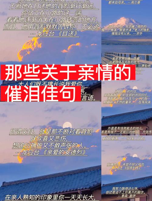一句打动人心的亲情文案,句句有感而发 第1张 一句打动人心的亲情文案,句句有感而发 第1张