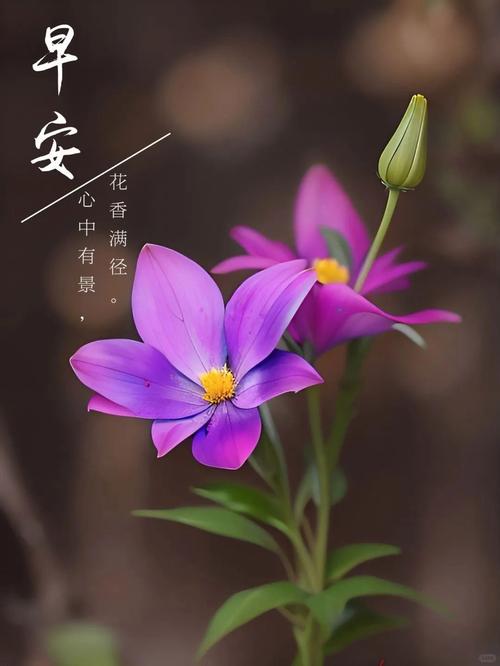 蓝天白云鲜花,唯美励志心情短句精选 第1张 蓝天白云鲜花,唯美励志心情短句精选 第1张