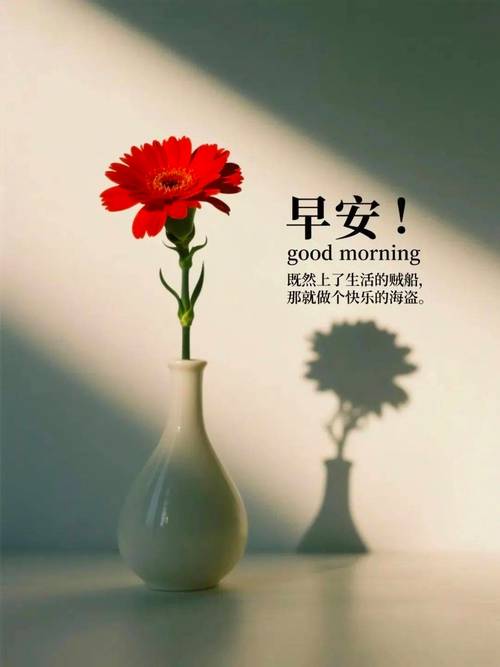适合早安发朋友圈的心情说说 第1张 适合早安发朋友圈的心情说说 第1张