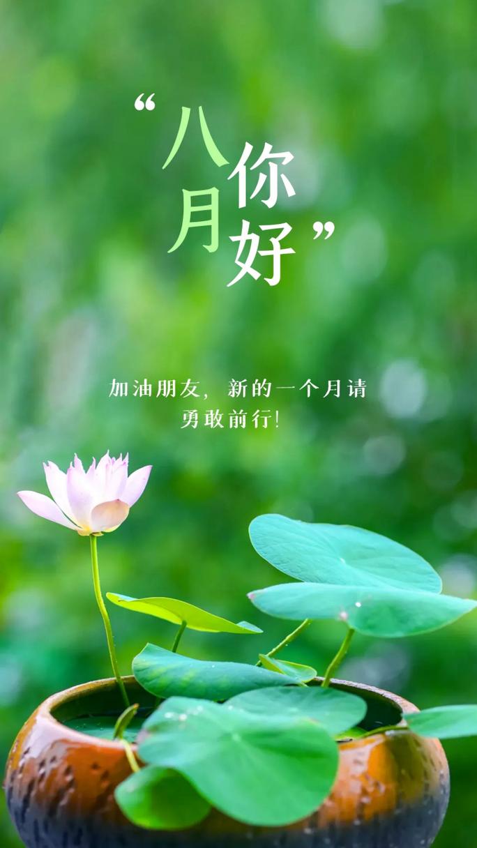 八月你好婊与说说八月你好的是婊婊 第1张 八月你好婊与说说八月你好的是婊婊 第1张