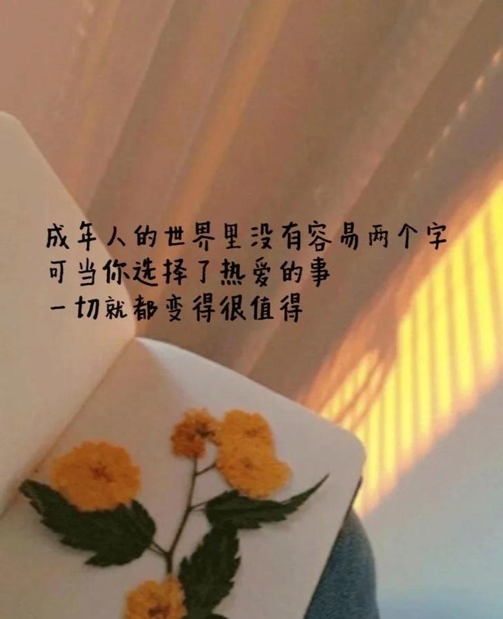 抖音最红的一段话,经典语录! 第1张 抖音最红的一段话,经典语录! 第1张