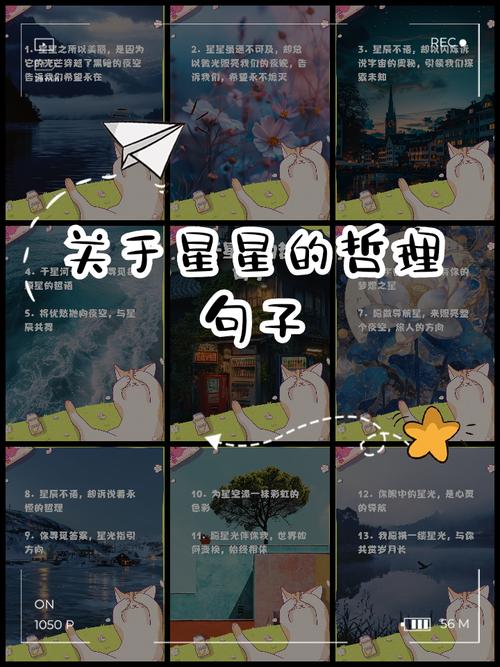 文案积累|关于星星的温柔高级朋友圈文案 第1张 文案积累|关于星星的温柔高级朋友圈文案 第1张