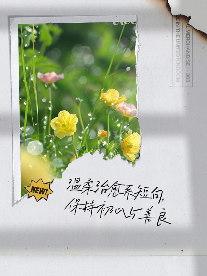 温暖治愈的短句文案  第1张