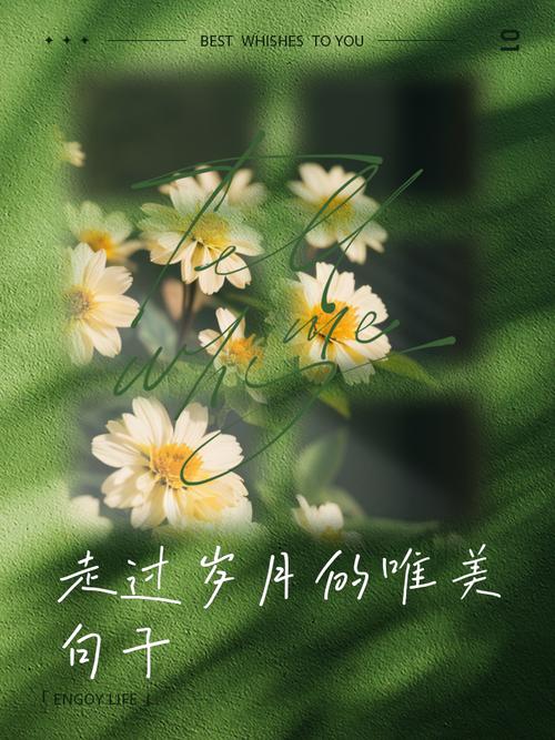 岁月不负情深唯美句子: 1 第1张 岁月不负情深唯美句子: 1 第1张