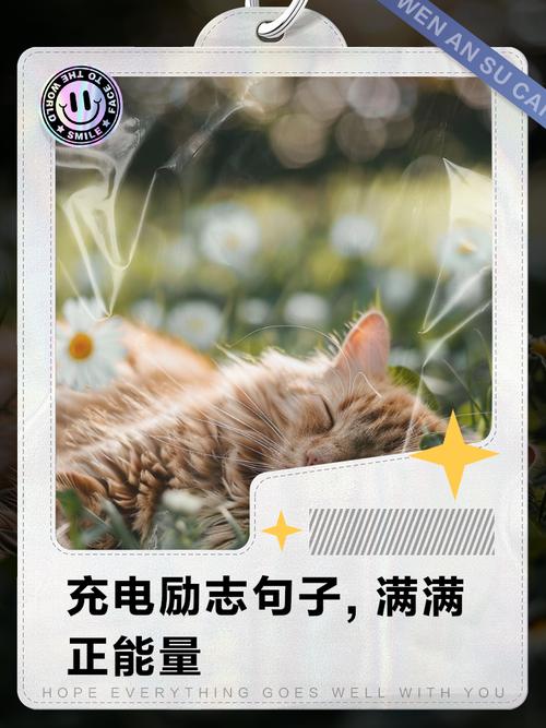 从迷茫到启发,每天一句话给自己充电! 第1张 从迷茫到启发,每天一句话给自己充电! 第1张