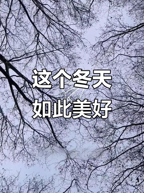 ● 轻轻的，冬天来了  第1张